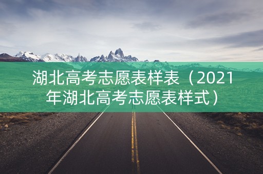 湖北高考志愿表样表（2021年湖北高考志愿表样式）