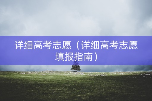 详细高考志愿（详细高考志愿填报指南）
