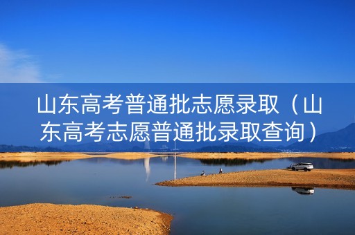 山东高考普通批志愿录取（山东高考志愿普通批录取查询）
