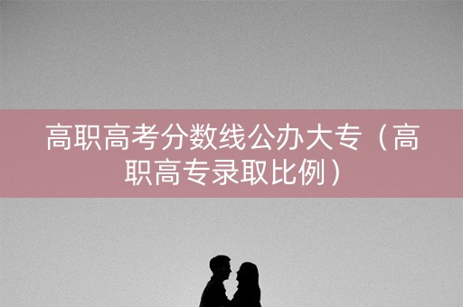 高职高考分数线公办大专（高职高专录取比例）