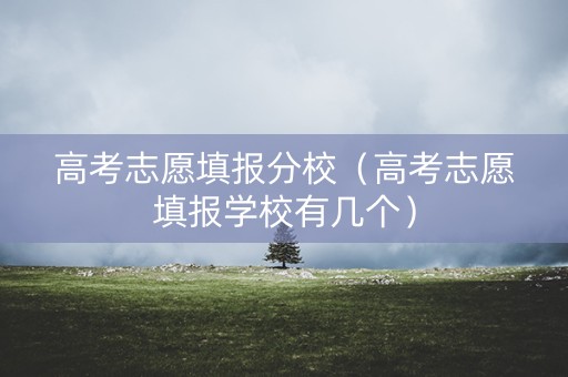 高考志愿填报分校（高考志愿填报学校有几个）