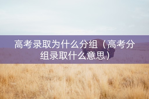 高考录取为什么分组（高考分组录取什么意思）