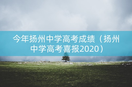 今年扬州中学高考成绩（扬州中学高考喜报2020）