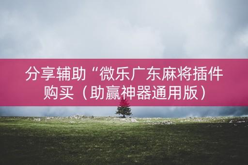 分享辅助“微乐广东麻将插件购买（助赢神器通用版）