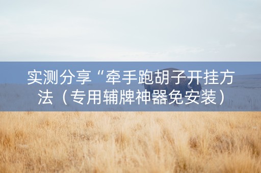 实测分享“牵手跑胡子开挂方法（专用辅牌神器免安装）