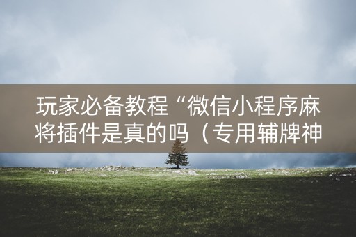 玩家必备教程“微信小程序麻将插件是真的吗（专用辅牌神器免安装）