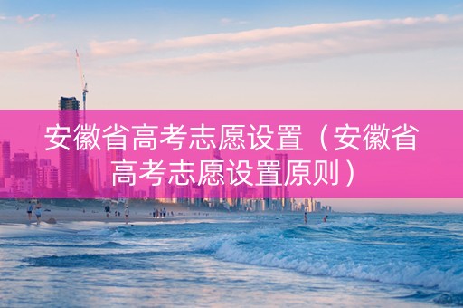 安徽省高考志愿设置（安徽省高考志愿设置原则）