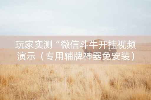 玩家实测“微信斗牛开挂视频演示（专用辅牌神器免安装）