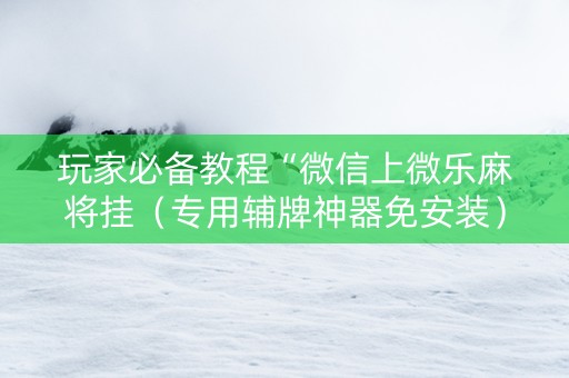 玩家必备教程“微信上微乐麻将挂（专用辅牌神器免安装）