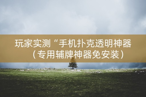 玩家实测“手机扑克透明神器（专用辅牌神器免安装）