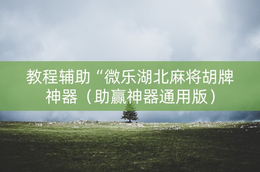 教程辅助“微乐湖北麻将胡牌神器（助赢神器通用版）