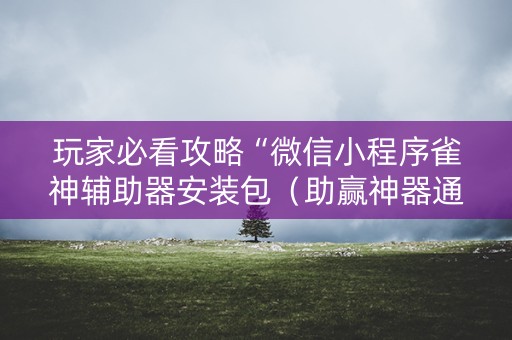 玩家必看攻略“微信小程序雀神辅助器安装包（助赢神器通用版）