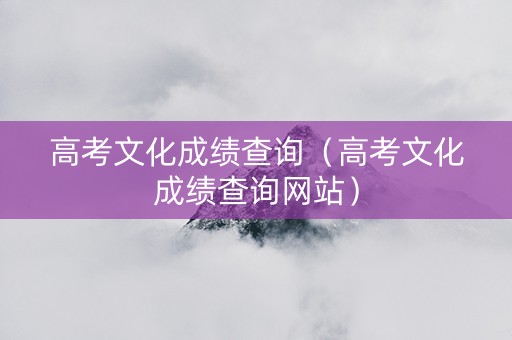 高考文化成绩查询（高考文化成绩查询网站）