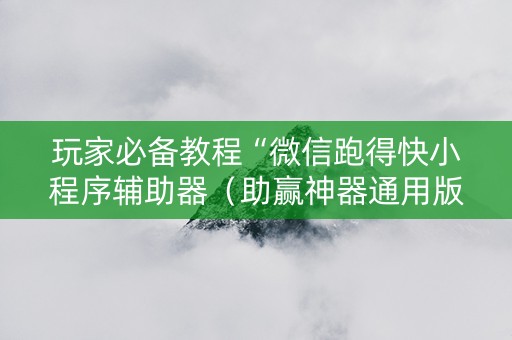 玩家必备教程“微信跑得快小程序辅助器（助赢神器通用版）