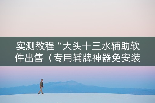 实测教程“大头十三水辅助软件出售（专用辅牌神器免安装）