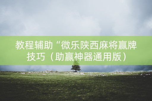 教程辅助“微乐陕西麻将赢牌技巧（助赢神器通用版）