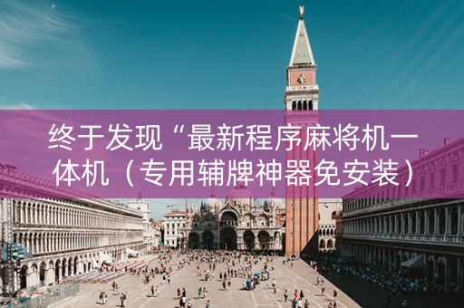 终于发现“最新程序麻将机一体机（专用辅牌神器免安装）