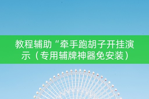 教程辅助“牵手跑胡子开挂演示（专用辅牌神器免安装）
