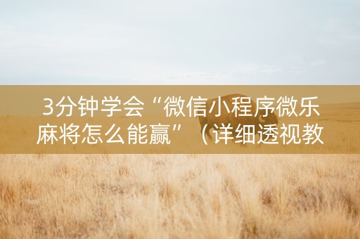 3分钟学会“微信小程序微乐麻将怎么能赢”（详细透视教程）-哔哩哔哩