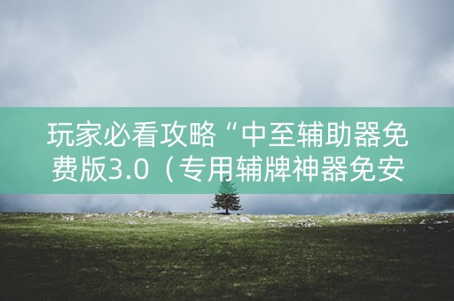 玩家必看攻略“中至辅助器免费版3.0（专用辅牌神器免安装）