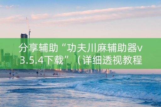 分享辅助“功夫川麻辅助器v3.5.4下载”（详细透视教程）-哔哩哔哩