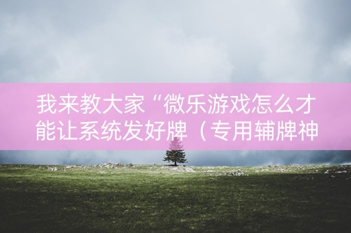 我来教大家“微乐游戏怎么才能让系统发好牌（专用辅牌神器免安装）