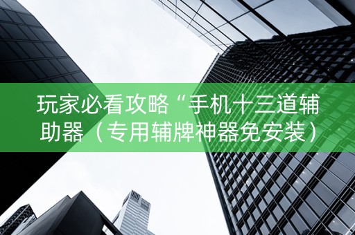 玩家必看攻略“手机十三道辅助器（专用辅牌神器免安装）
