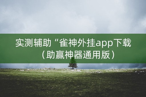 实测辅助“雀神外挂app下载（助赢神器通用版）