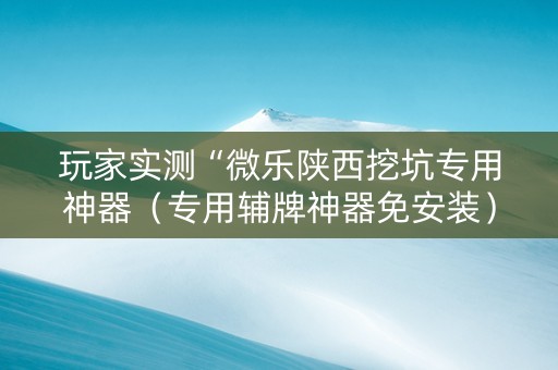 玩家实测“微乐陕西挖坑专用神器（专用辅牌神器免安装）
