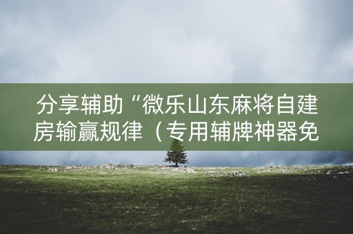 分享辅助“微乐山东麻将自建房输赢规律（专用辅牌神器免安装）