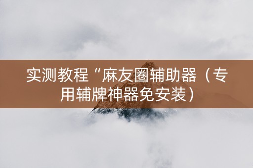 实测教程“麻友圈辅助器（专用辅牌神器免安装）