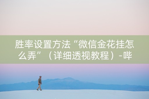 胜率设置方法“微信金花挂怎么弄”（详细透视教程）-哔哩哔哩