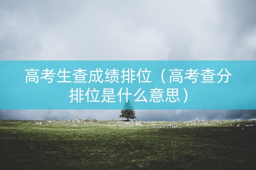 高考生查成绩排位（高考查分排位是什么意思）