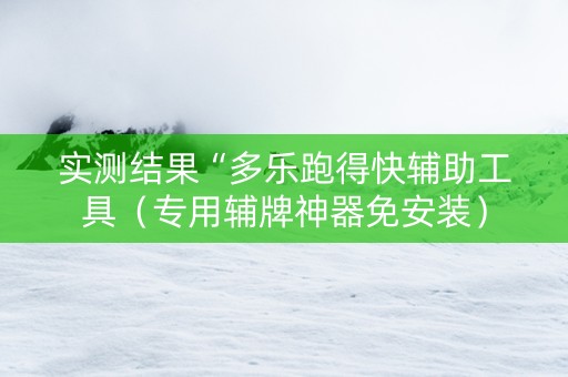 实测结果“多乐跑得快辅助工具（专用辅牌神器免安装）