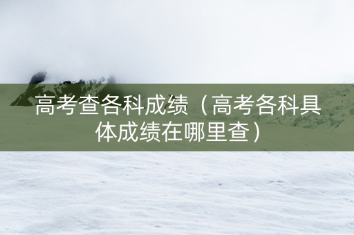 高考查各科成绩（高考各科具体成绩在哪里查）