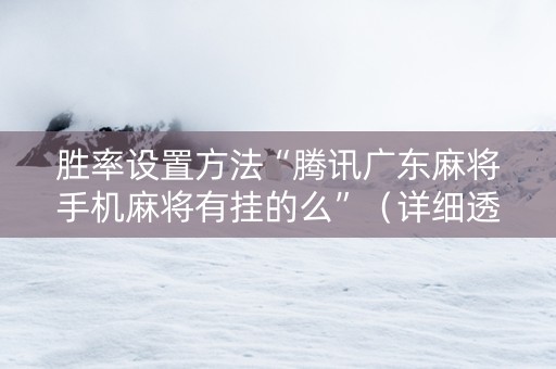 胜率设置方法“腾讯广东麻将手机麻将有挂的么”（详细透视教程）-哔哩哔哩