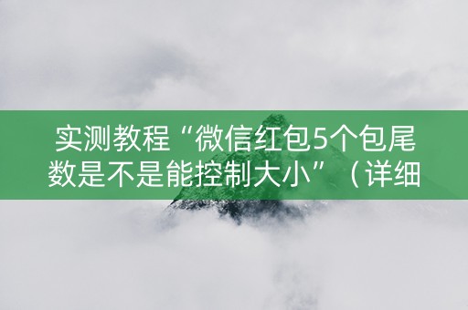 实测教程“微信红包5个包尾数是不是能控制大小”（详细透视教程）-哔哩哔哩