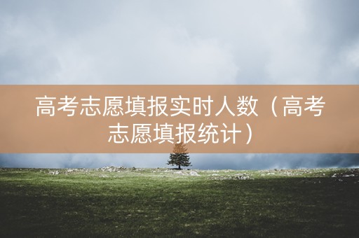 高考志愿填报实时人数（高考志愿填报统计）