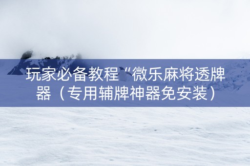 玩家必备教程“微乐麻将透牌器（专用辅牌神器免安装）
