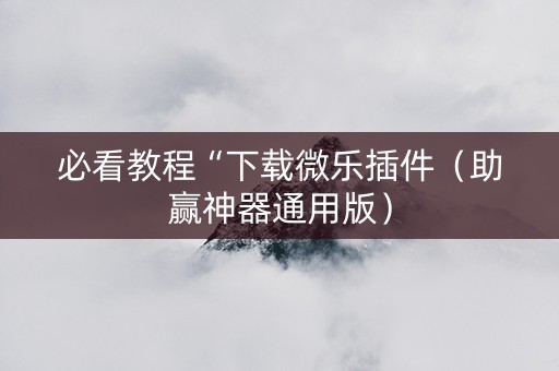 必看教程“下载微乐插件（助赢神器通用版）