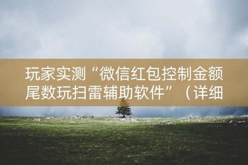 玩家实测“微信红包控制金额尾数玩扫雷辅助软件”（详细透视教程）-哔哩哔哩