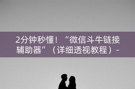2分钟秒懂！“微信斗牛链接辅助器”（详细透视教程）-哔哩哔哩
