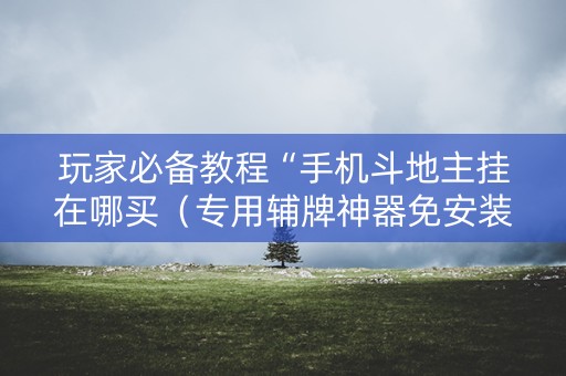 玩家必备教程“手机斗地主挂在哪买（专用辅牌神器免安装）
