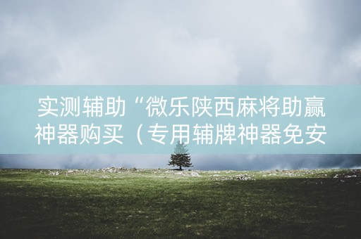 实测辅助“微乐陕西麻将助赢神器购买（专用辅牌神器免安装）