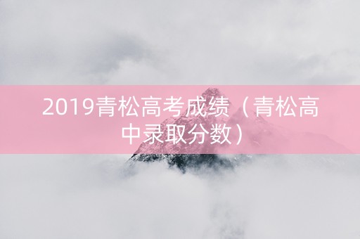 2019青松高考成绩（青松高中录取分数）