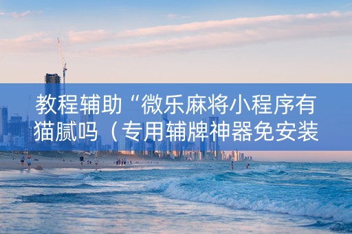 教程辅助“微乐麻将小程序有猫腻吗（专用辅牌神器免安装）
