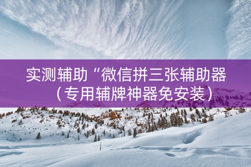 实测辅助“微信拼三张辅助器（专用辅牌神器免安装）