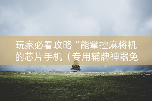 玩家必看攻略“能掌控麻将机的芯片手机（专用辅牌神器免安装）