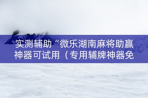 实测辅助“微乐湖南麻将助赢神器可试用（专用辅牌神器免安装）