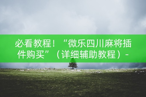 必看教程！“微乐四川麻将插件购买”（详细辅助教程）-哔哩哔哩